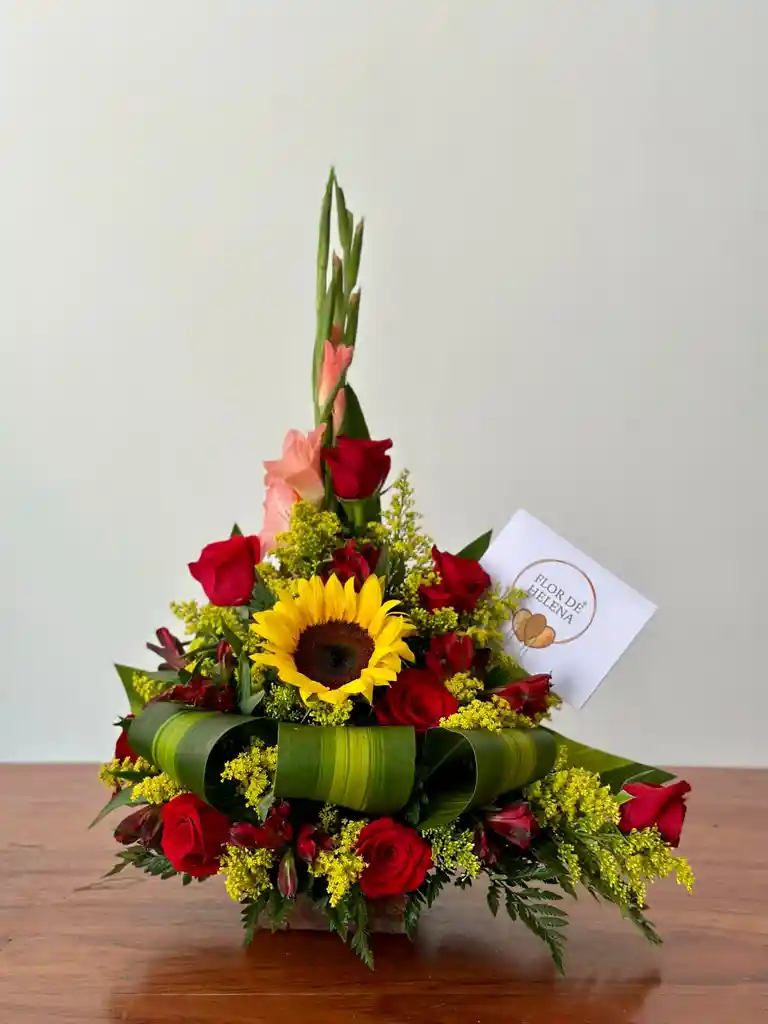 Tradicional Flor De Helena