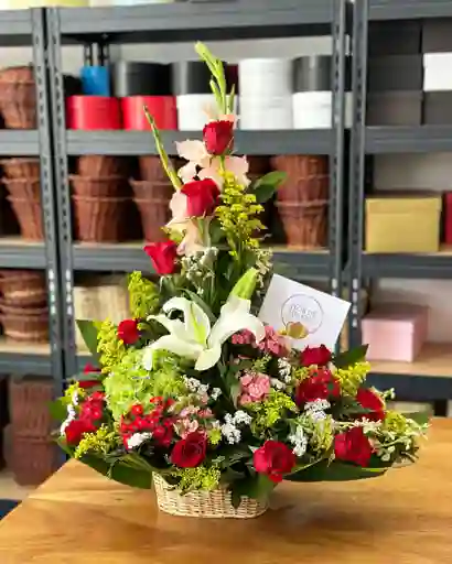 Tradicional Flor De Helena