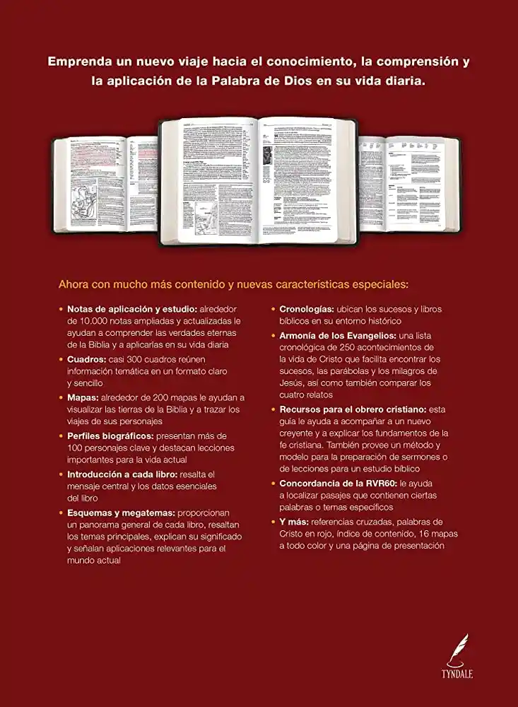 Biblia De Estudio Diario Vivir Rvr60 Letra Grande Sentipiel Negro-onice