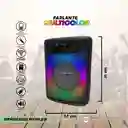 Parlante Cabina 6.5 Recargable Luz Rgb Sound Big / Microfono