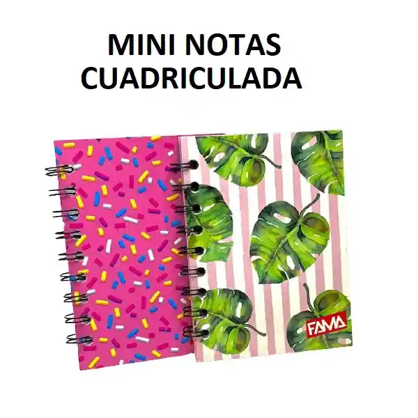 Libreta Mini Notas Cuadriculda Femenina