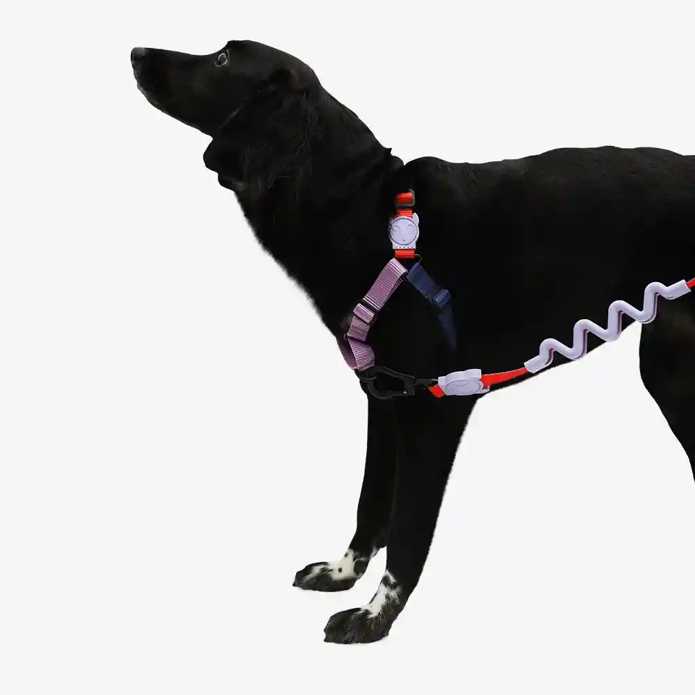 Arnés Para Perro Zee Dog Genie Soft-walk Large