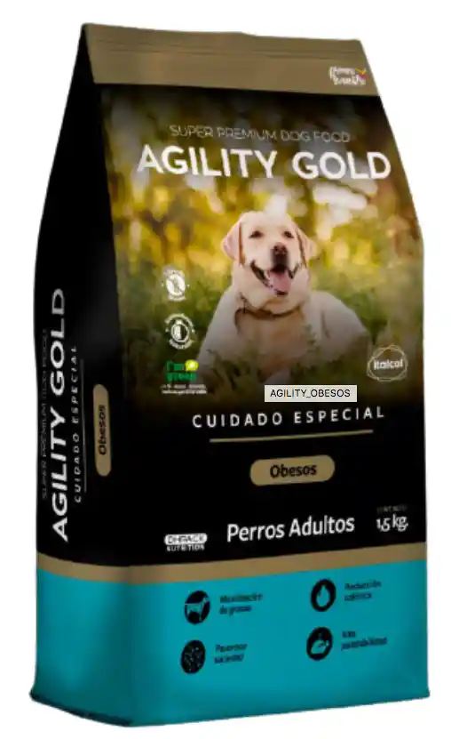 Agility Dog Adultos Obesos