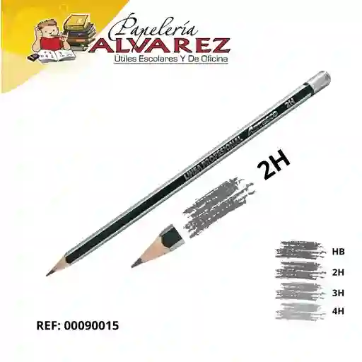 Lapiz Artesco Graduado Profesional 2h