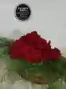 Rosas Rojas