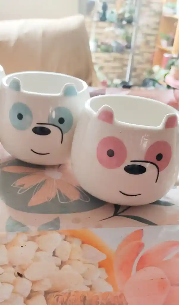 Mug En Ceramica De Oso Importada Con Suculenta