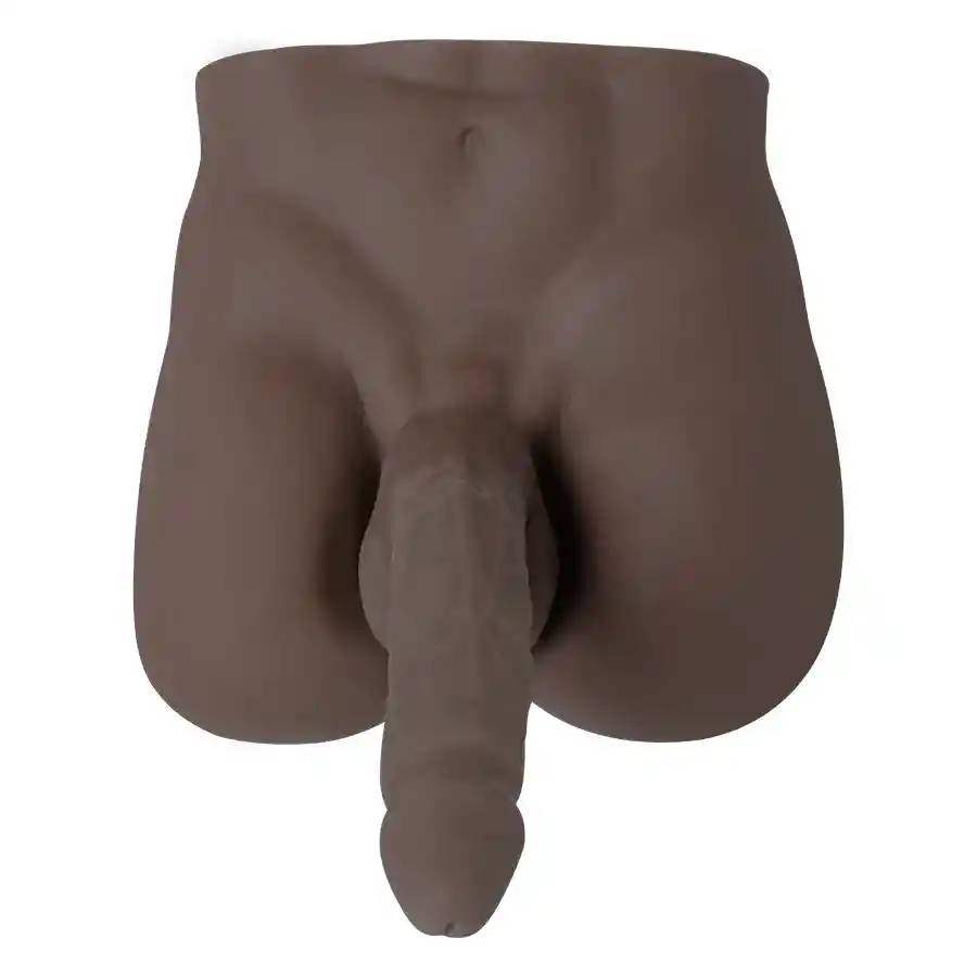 Torso Men Medio Brown