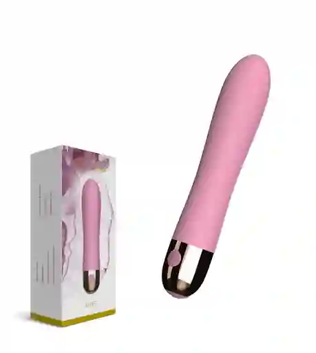 Vibrador Duet Dual Motor