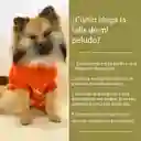 Ropa Para Perro O Gato Saco Sweater Amarillo Con Capota