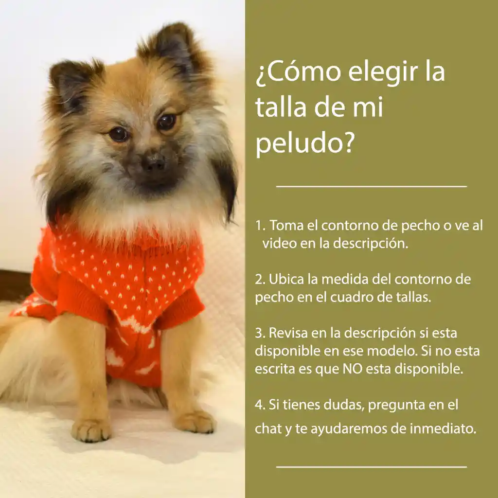 Ropa Para Perro O Gato Saco Sweater Amarillo Con Capota