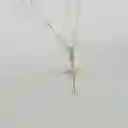 Cadena Y Dije Cruz Celestia