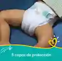 Set De Pañales Pampers Baby- Dry Etapa 5 X 78 Unidades