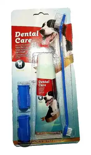 Kit Dental