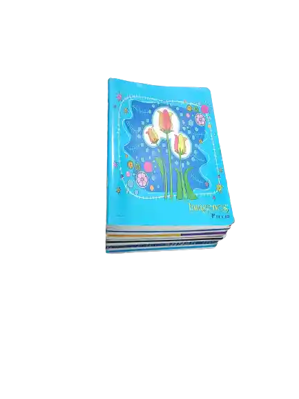 Cuaderno Cuadriculado X10