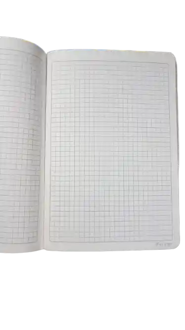 Cuaderno Cuadriculado X10