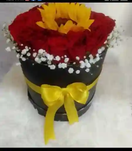 Cilindro 24 Rosas Y Un Girasol