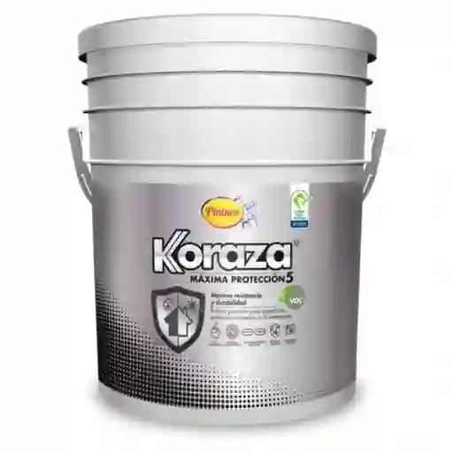 Pintura Vinilo Gris Basalto Cuñete Exteriores (fachada) Koraza