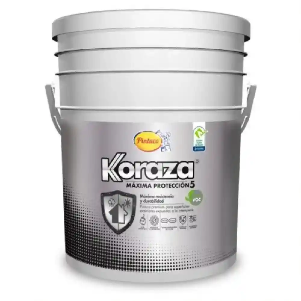 Pintura Vinilo Gris Basalto Cuñete Exteriores (fachada) Koraza