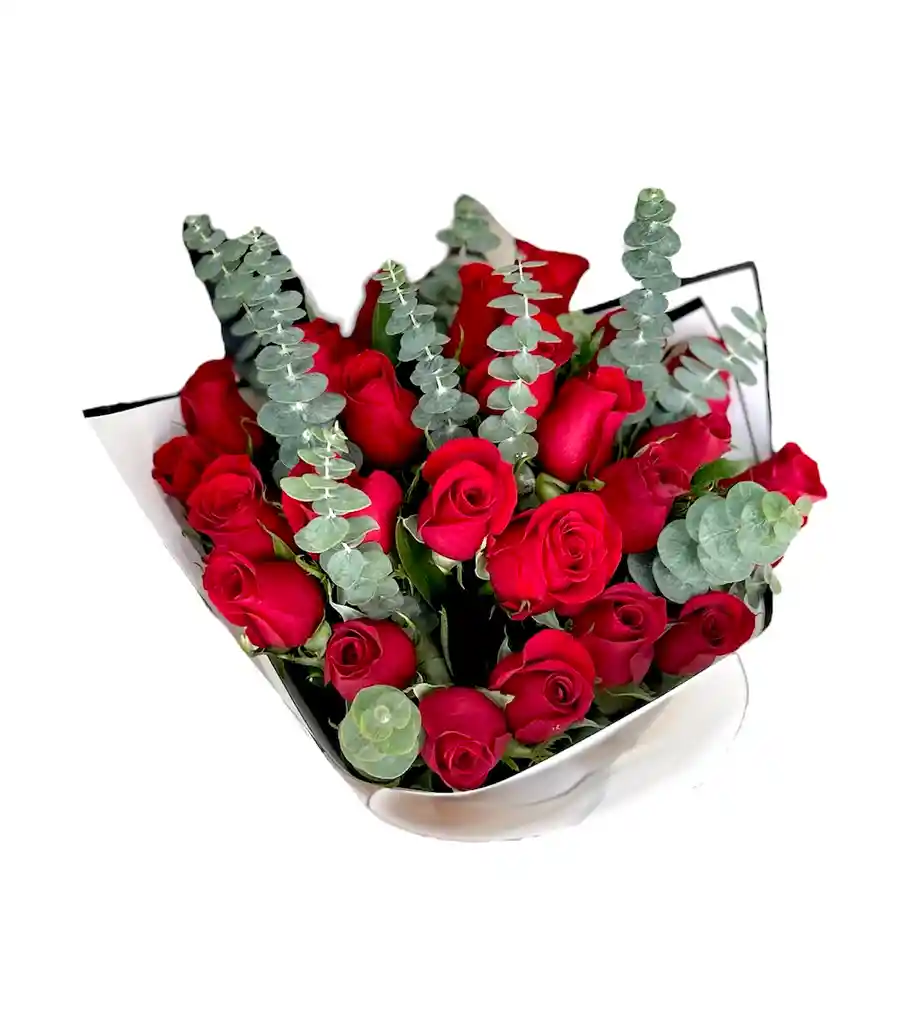 24 Rosas De Exportación Rojas