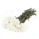 Bouquet 12 Claveles Dianthus Blanco En Ramo