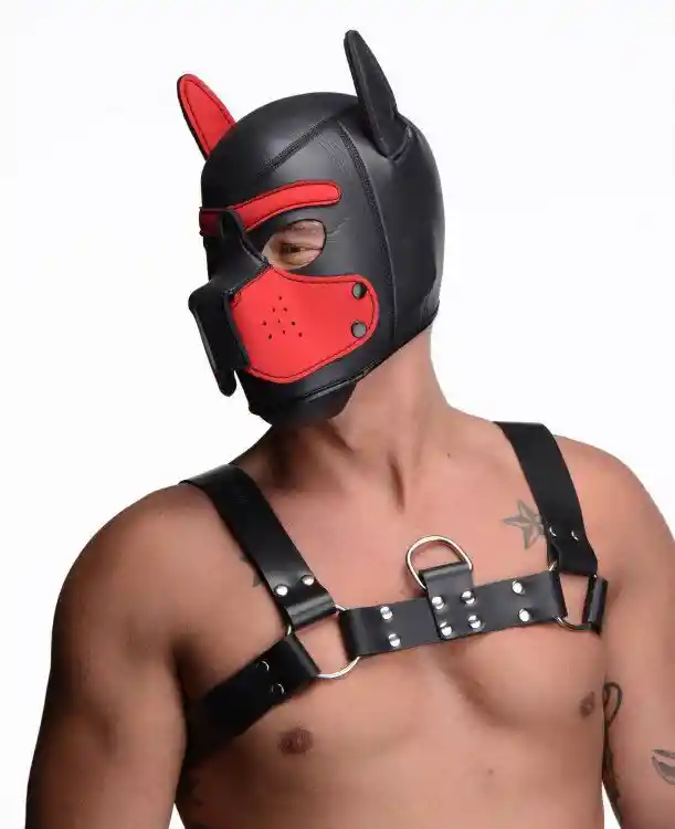 Mascara Dog Puppy Hood Rojo