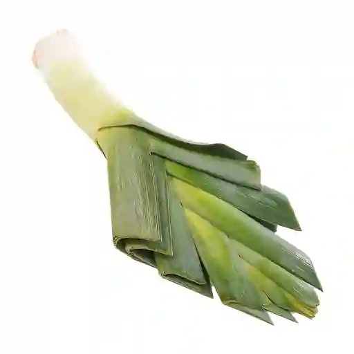 Cebolla Puerro