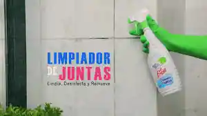 Limpíador De Juntas X500ml