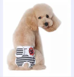 Panty Cucos Para El Celo Talla S