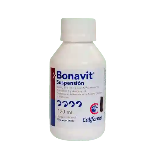 Bonavit X 120ml Suspensión Oral