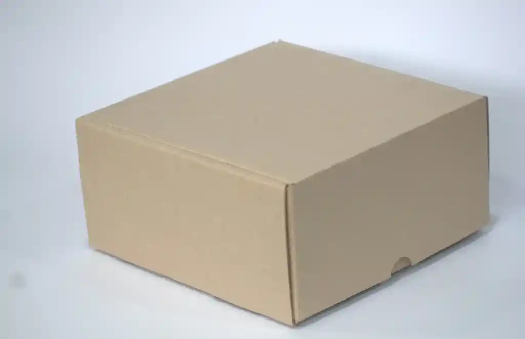 Caja Ecologica Plegadiza 21x21x6.5 Microcorrugado