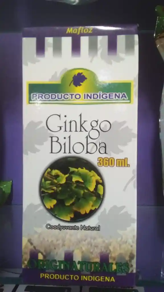 Ginkgo Biloba Jarabe