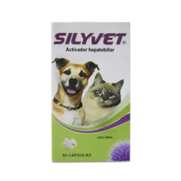 Silyvet Capsulas Por 60 Unidades