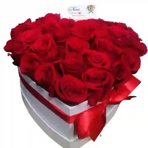 Rosas Rojas En Corazon