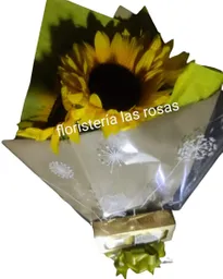 Girasol Y Chocolates