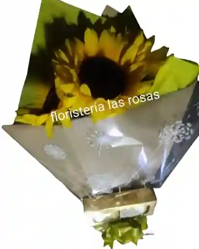 Girasol Y Chocolates