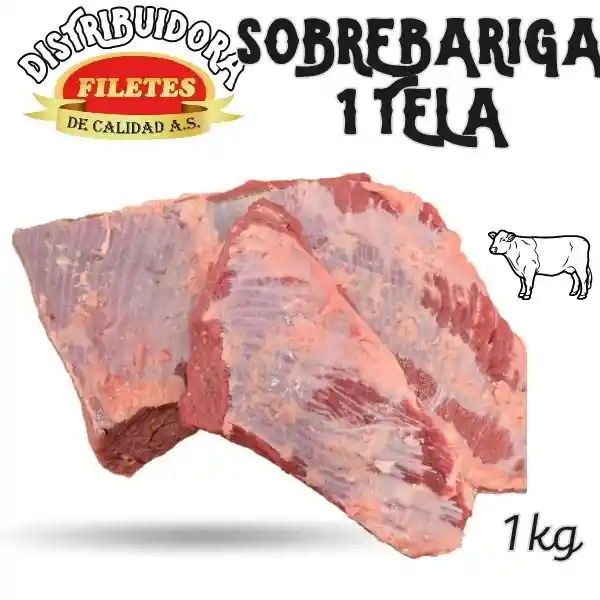 Sobrebarrida 1 Tela