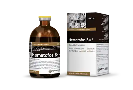 Hematofosb12 X 250ml