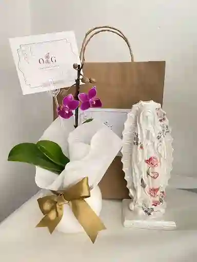 Orquideas Minis + Virgen Guadalupe 22 Cms