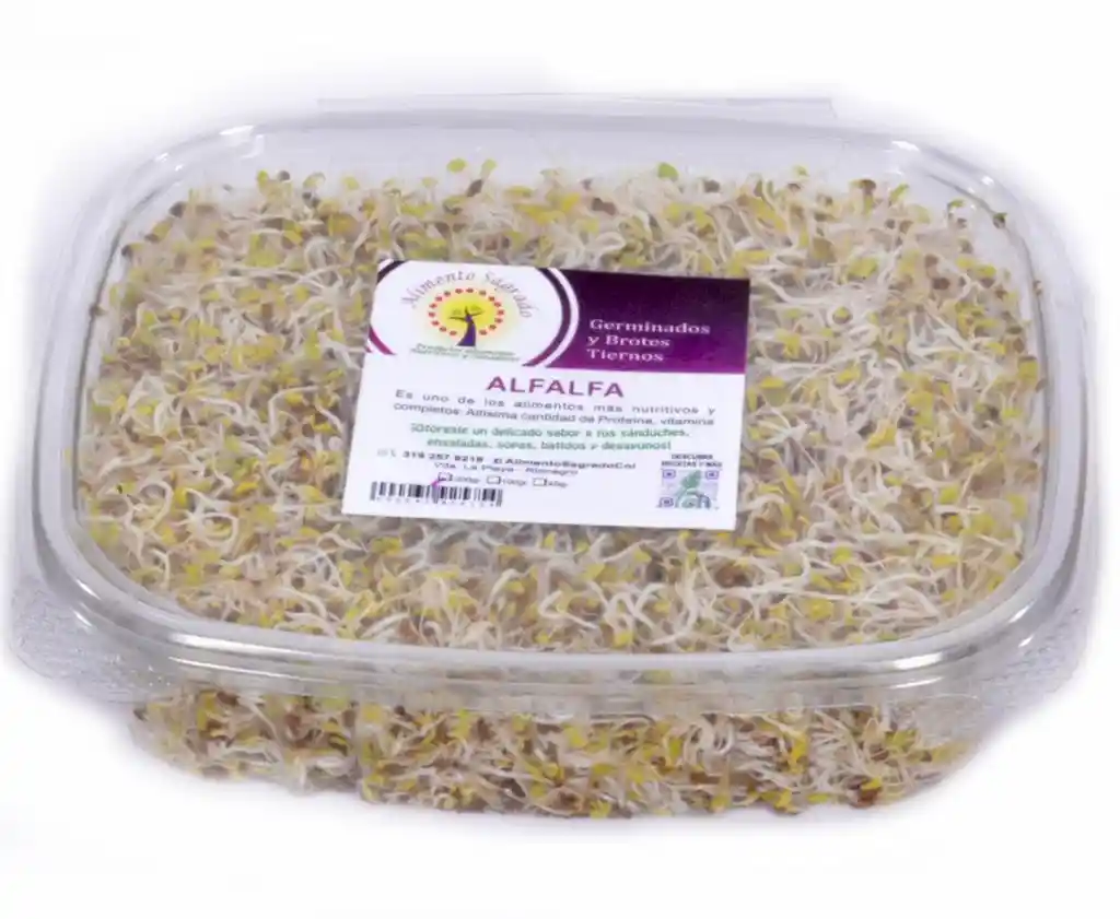 Germinados De Alfalfa 200 Gr