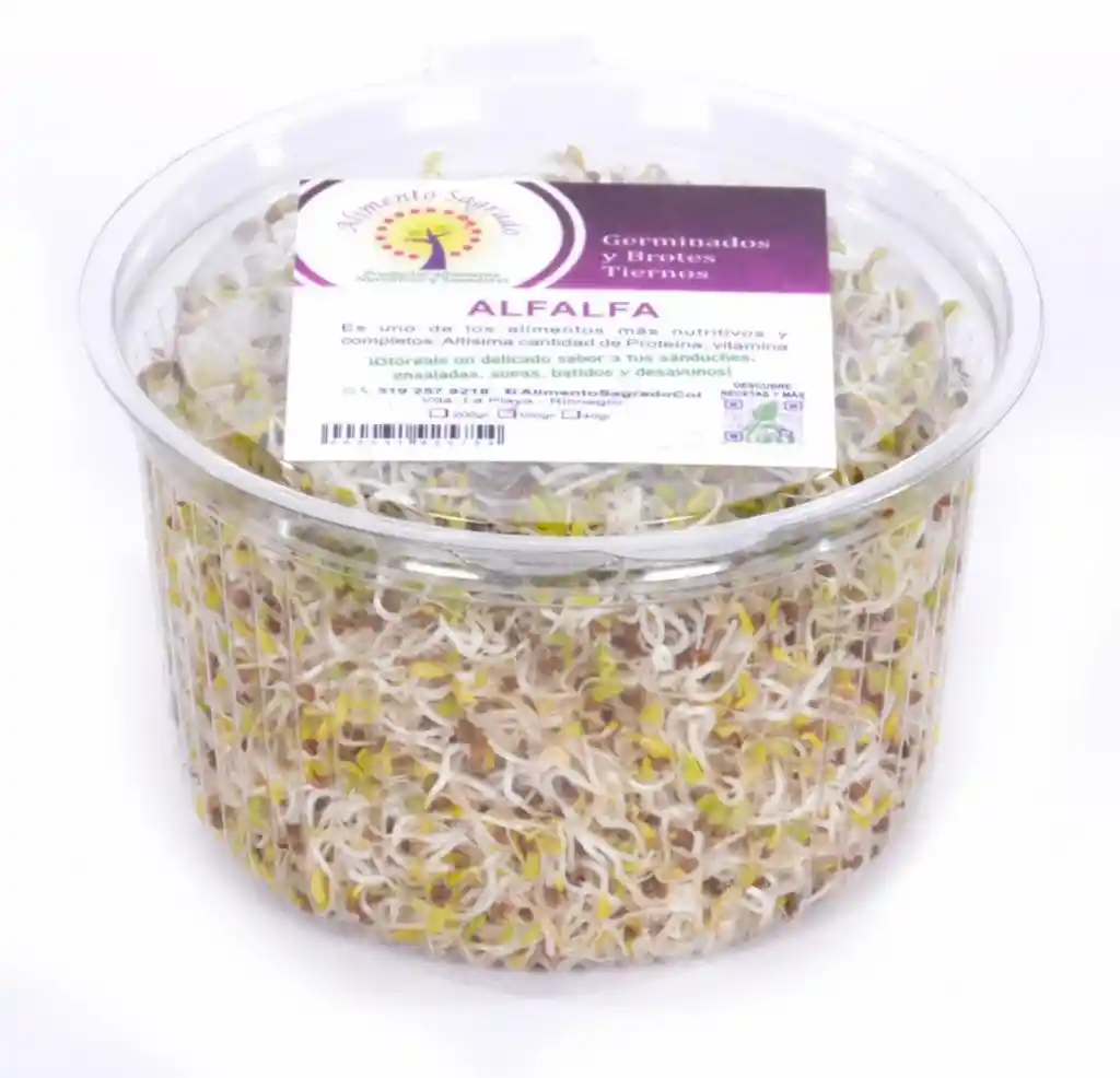 Germinados De Alfalfa 100 Gr