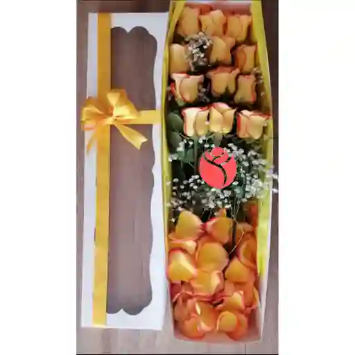 Caja De Rosas Salmon