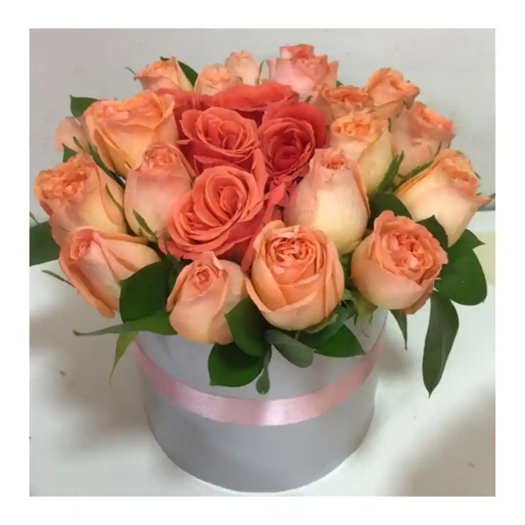 Cilindro De Rosas Salmon