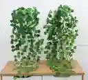 Enredadera 95 Cms Hoja Mata Verde 9 Ramas