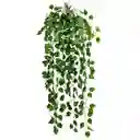 Enredadera 95 Cms Hoja Mata Verde 9 Ramas