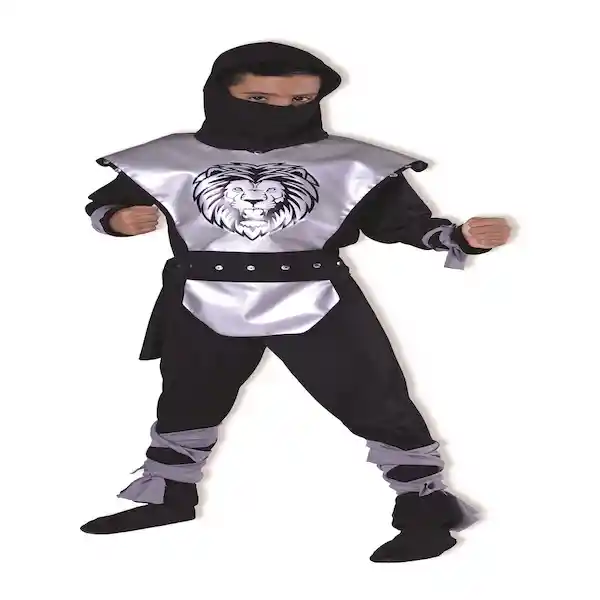 Disfrazrey Ninja