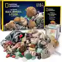 Kit National Geographic Rocas Geodas Fósiles Piedras Genuinas Juegos Educativos Geologia