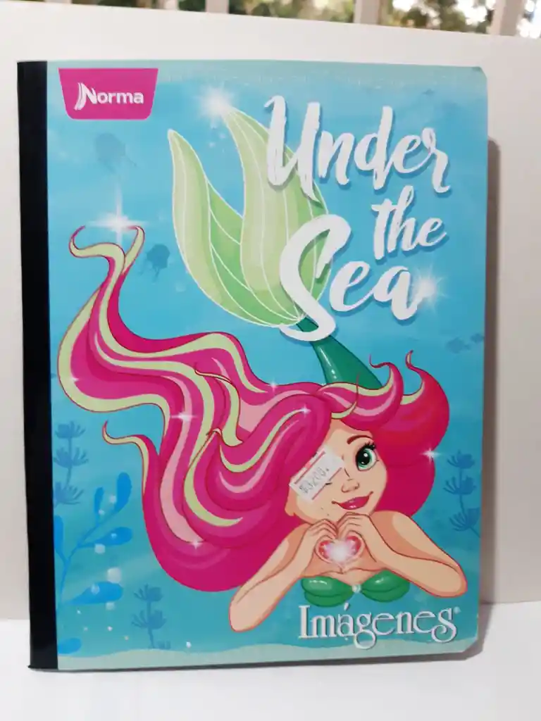 Cuaderno Cosido Cuadreiculado De 50 Hojas Norma