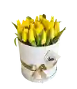 Caja Top De Tulipanes Amarillos