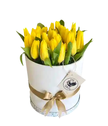 Caja Top De Tulipanes Amarillos