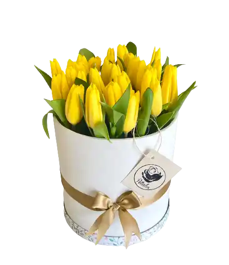 Caja Top De Tulipanes Amarillos